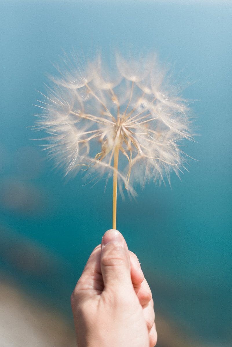 mariage nature perpignan